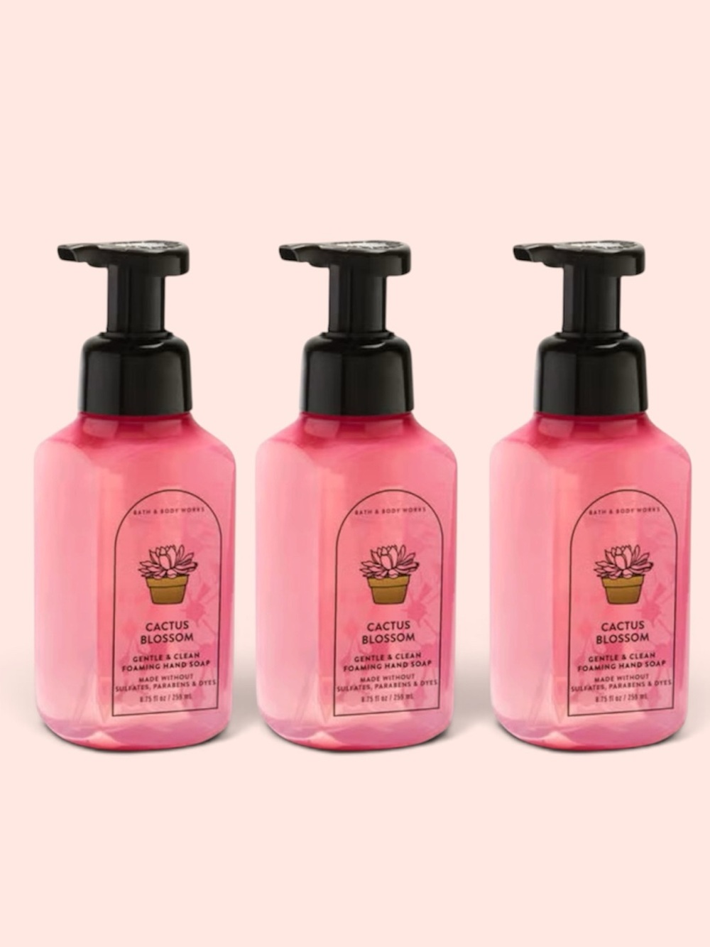 Bath & Body Works Cactus Blossom Foaming Hand Soap 3-Piece Set Brand New